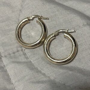 Chic Twisted Silver Hoop Earrings
